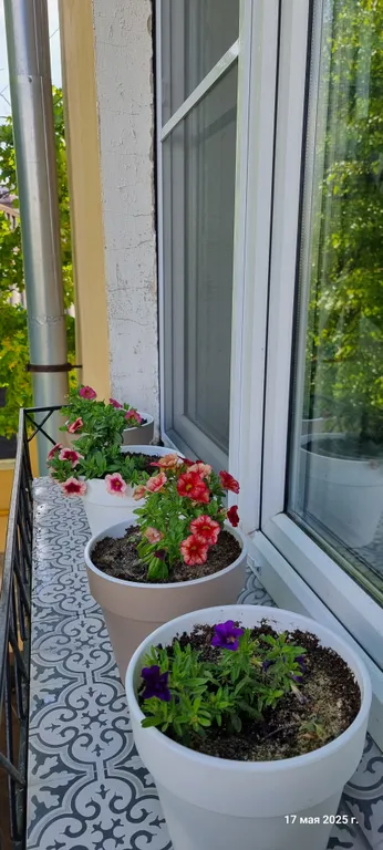 Квартира в историческом центре