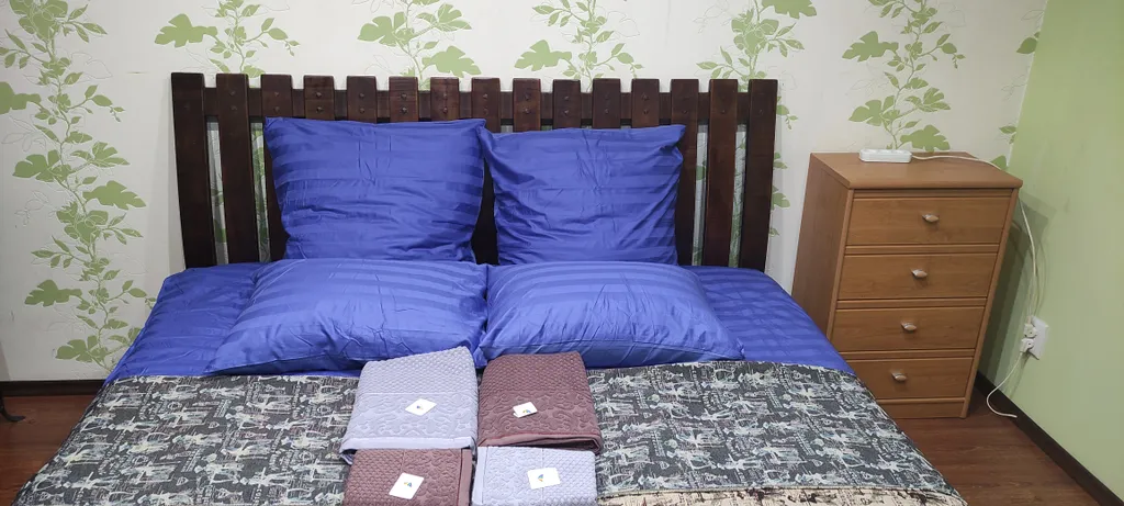 1-комнатная квартира в центре Макеевки с большой кроватью и водой