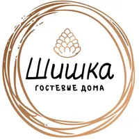 Шишка