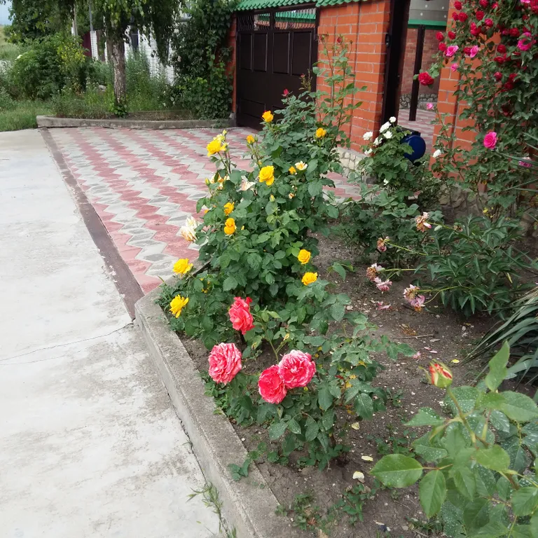 Уютный просторный дом на Крутой