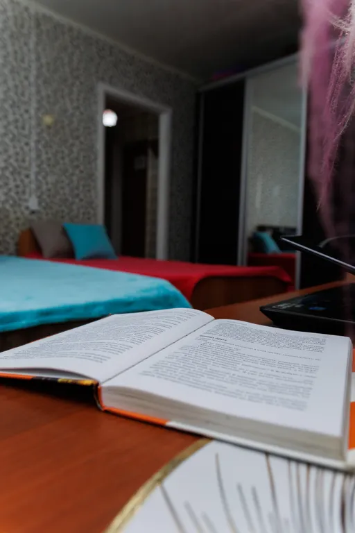 Апартаменты рядом с Додопиццей