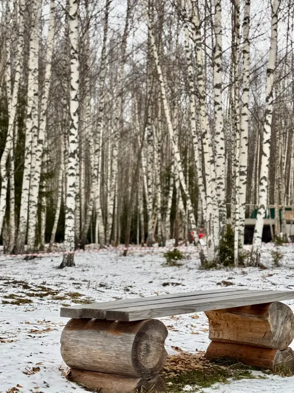 Дом с чаном и сауной в лесу