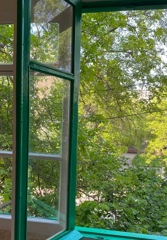 Квартира возле парка имени Говорухина