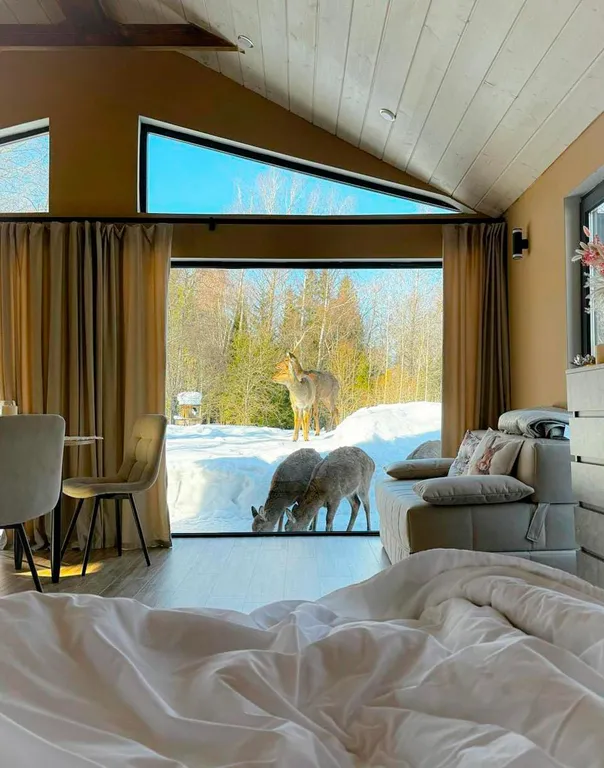 Домик в лесу с пятнистыми оленями и кроликами