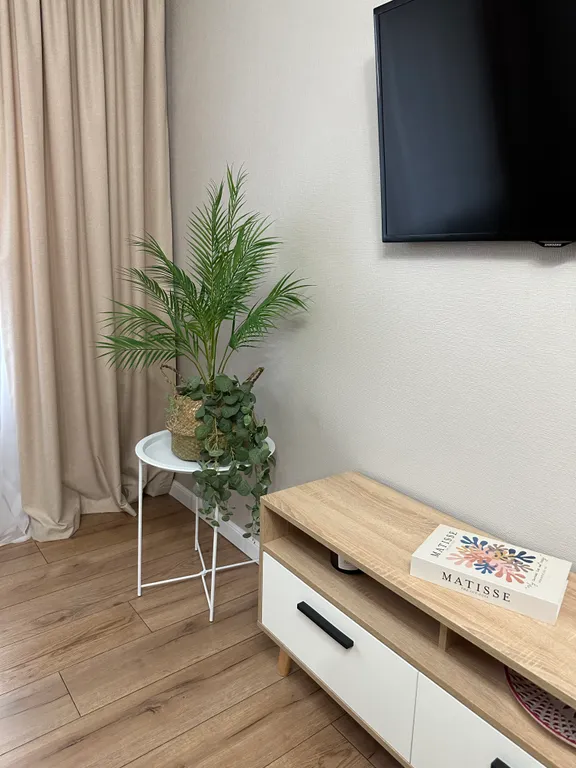 Уютная квартира у пушкинской набережной