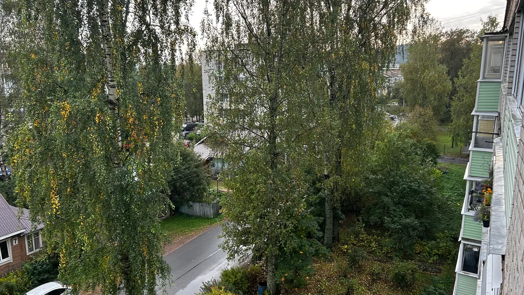 Уютная квартира со свежим ремонтом