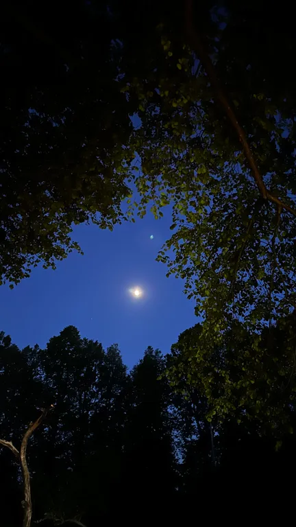 Уютный домик в древних липах