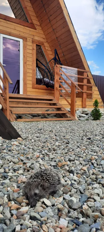 Уютный домик с чаном