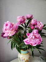 Полина