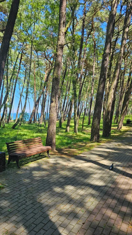 Квартира Квартира на море — Пионерский