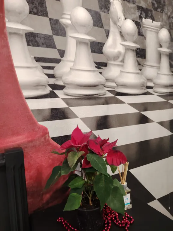 Апартаменты Шахматы