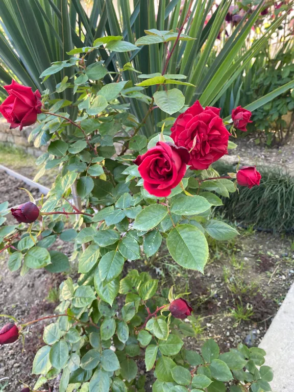 Дом мечты на море