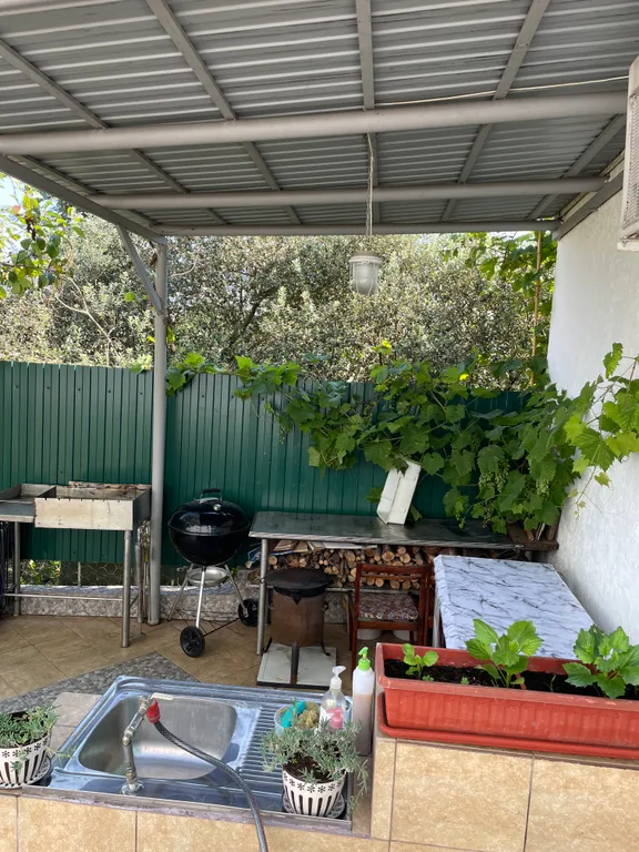 Уютный домик у красавца-эвкалипта