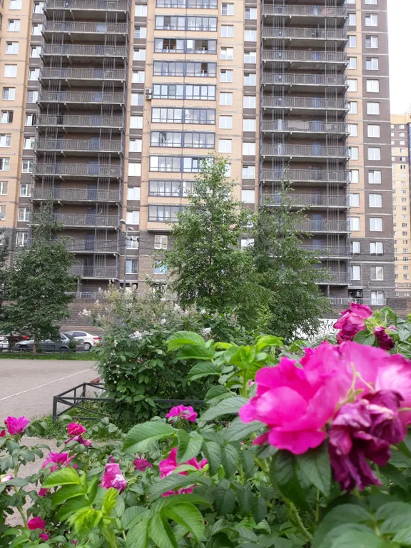 Видовая солнечная студия