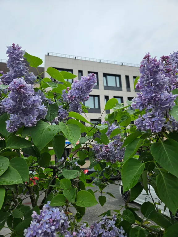 Уютная квартира с кондиционером в центре города