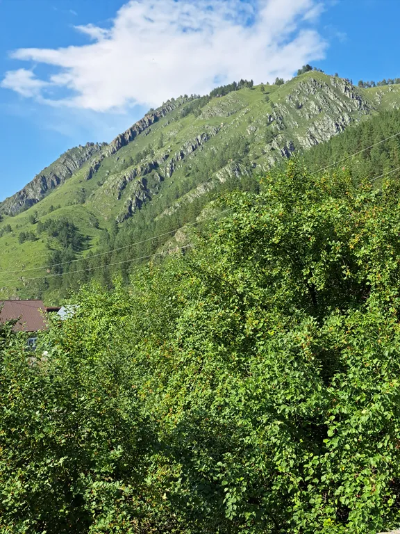 Большой номер