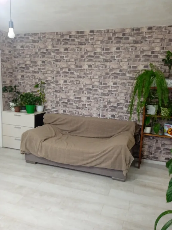 Квартира в пяти минутах от ледового дворца