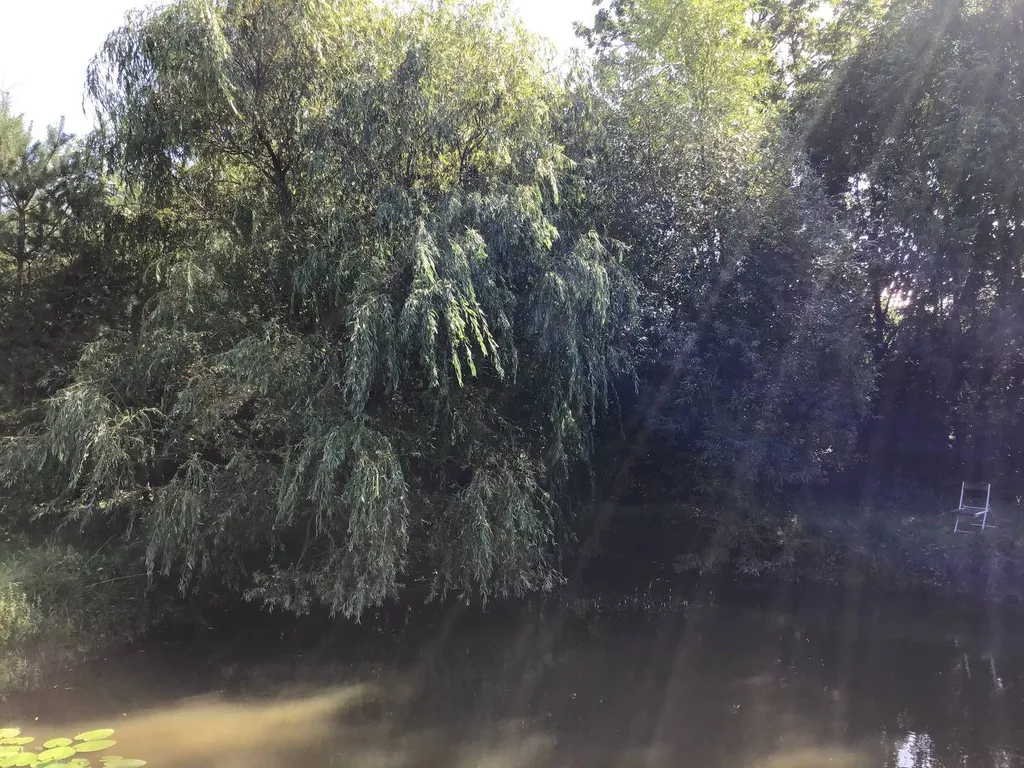 Дом с пляжем у моря