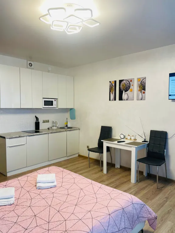 Квартира Квартира Уютная студия для командировочных и пар с детьми — Шушары