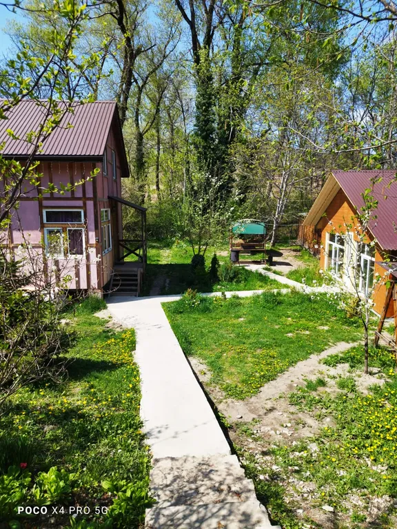 Романтик у реки