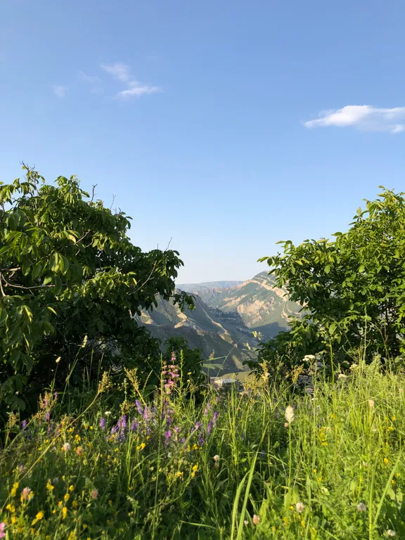 Гостевой домик Ругуджа с террасой и видом на горы и лес