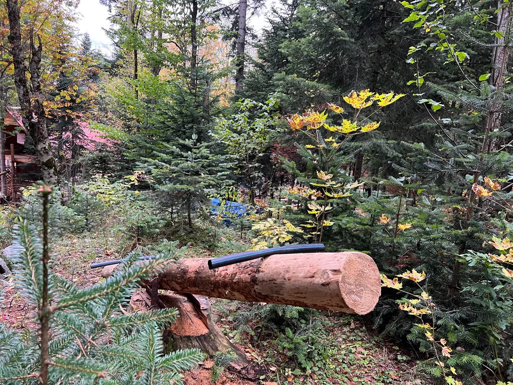 Горы, лес и уют — ваш отдых в Архызе начинается здесь