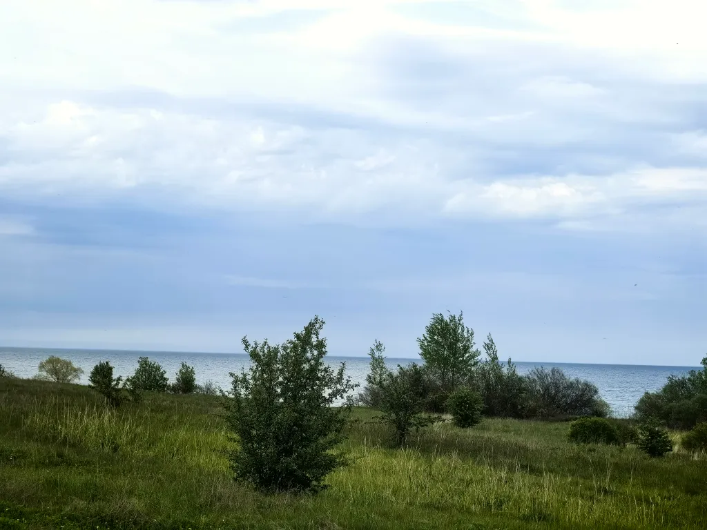 Трёхместный дом с террасой