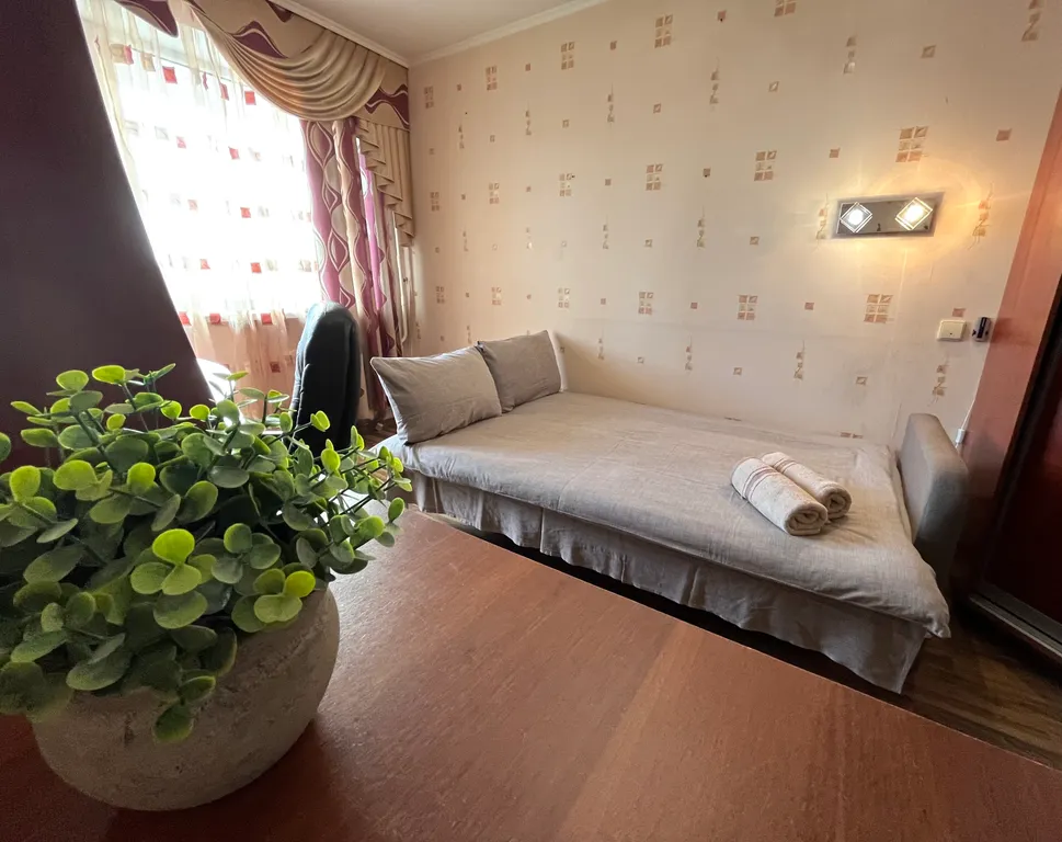 Просторная квартира в центре