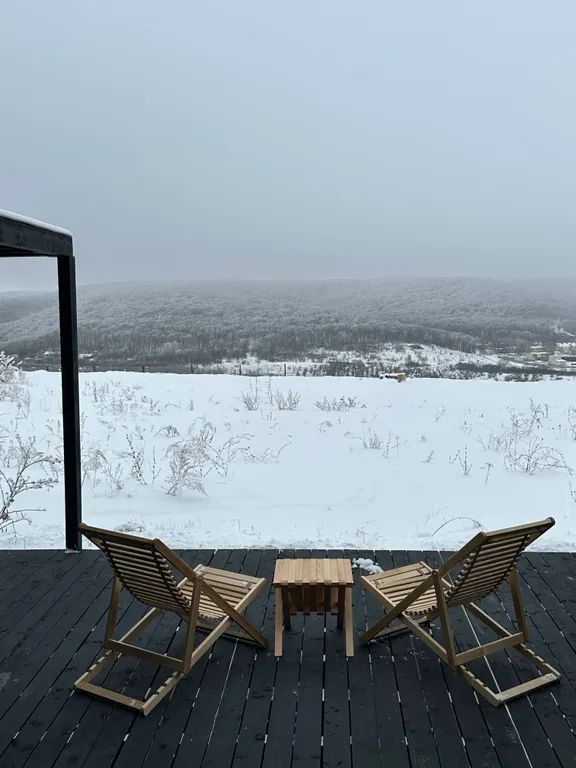 Сканди-дача №2