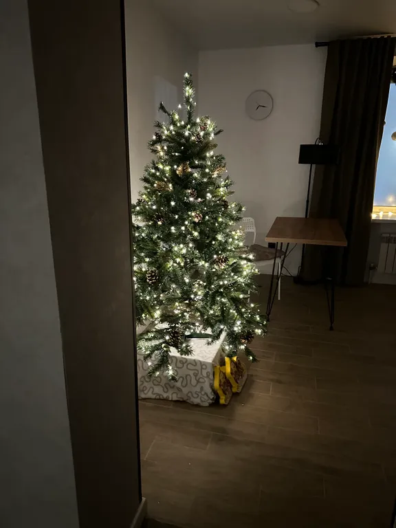 Уютная квартира с автономным отоплением