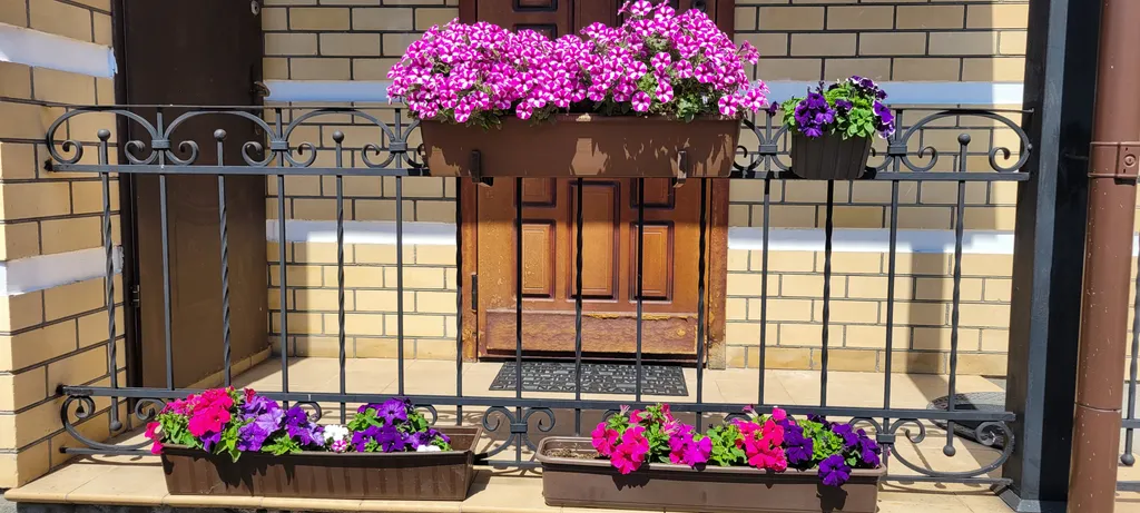 Вилла Морская - уютный дом с бассейном на берегу Балтийского моря