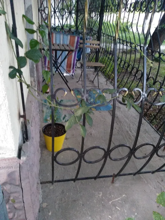 Квартира в районе городской набережной, видовая