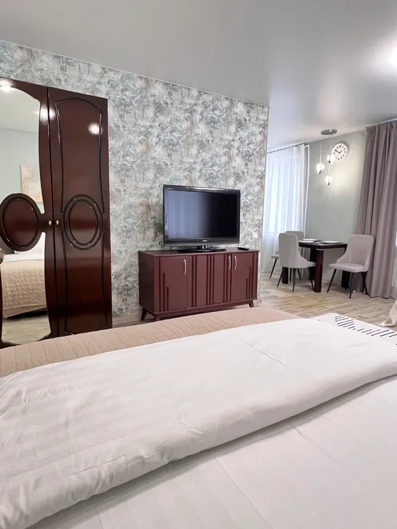 Квартира Квартира Просторная студия в центре Пушкина — Пушкин