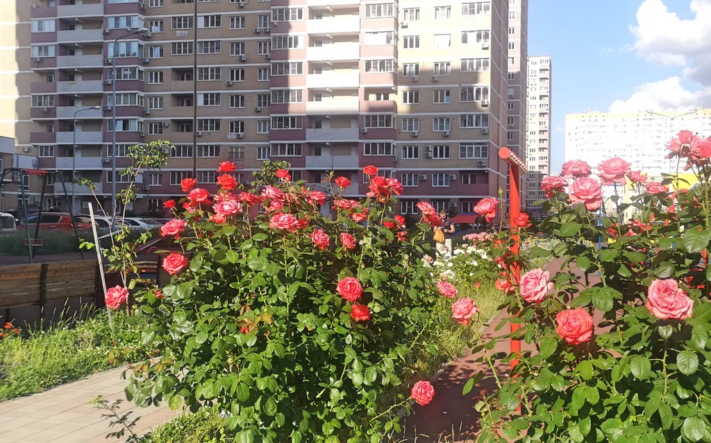 Квартира Однокомнатная квартира InWave — Краснодар