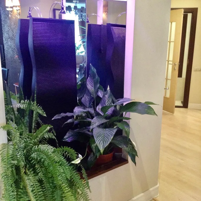 Президентский люкс 5* в центре города