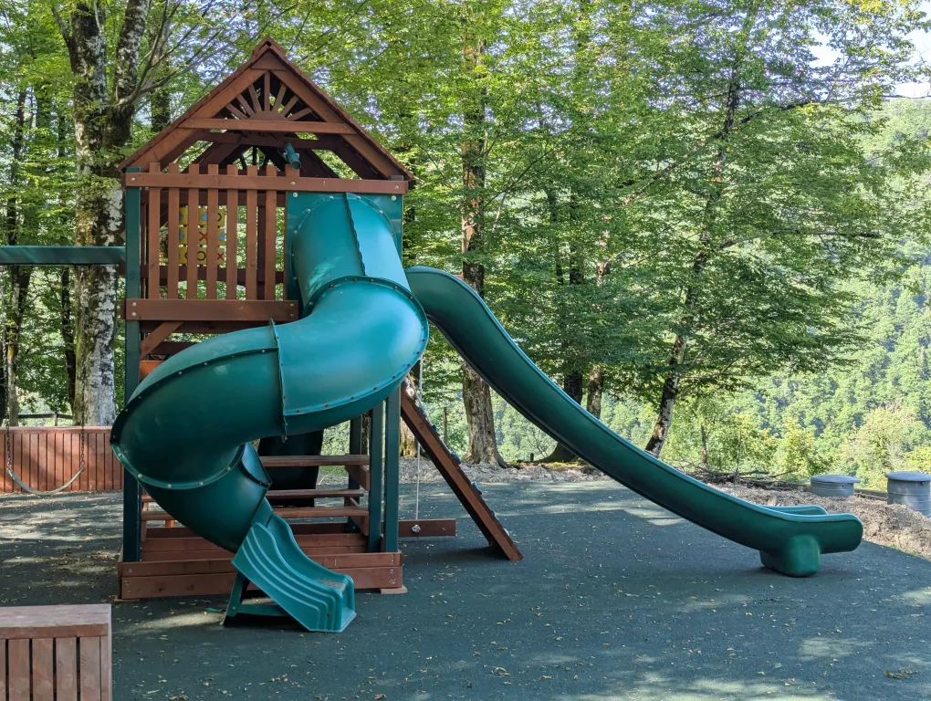 Сруб в заповедном лесу