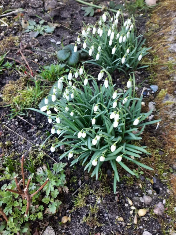 Квартира Квартира у моря — Пионерский