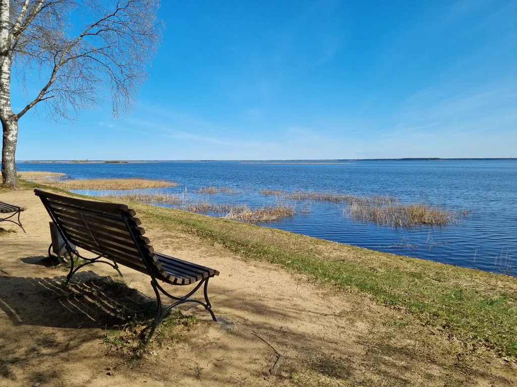 Уютный дом на берегу Рыбинского водохранилища