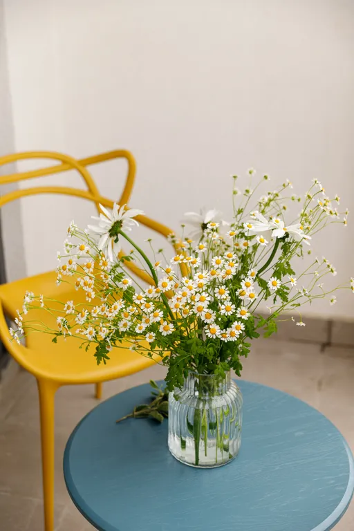 Студия для отдыха на море