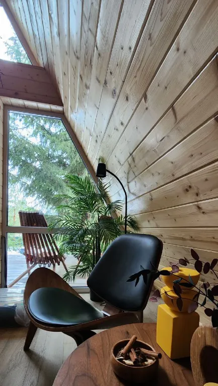 Треугольный дом в 25км от Минска с баней и горячей купелью в лесу