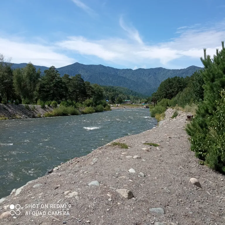 Дом с видом на реку