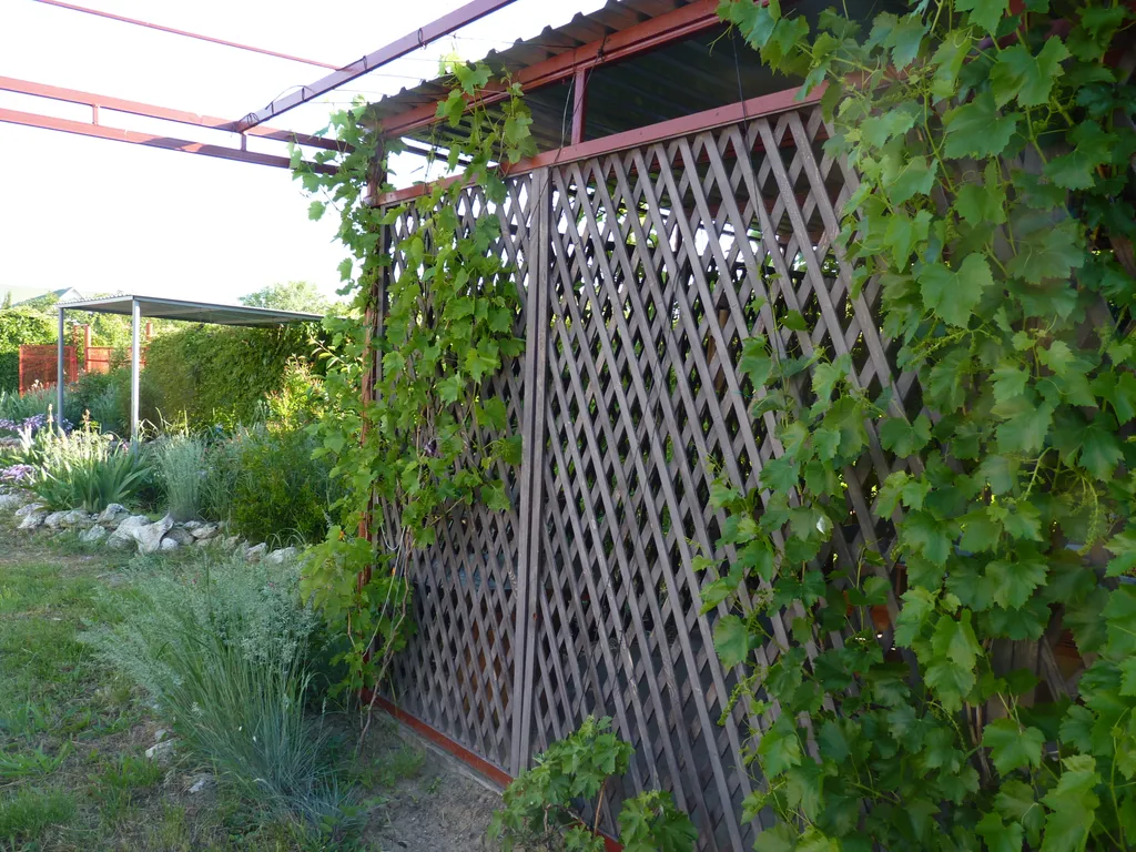 Квартира Комната — Новоотрадное