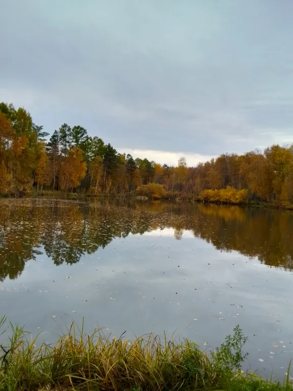 Уютный коттедж в сосновом бору