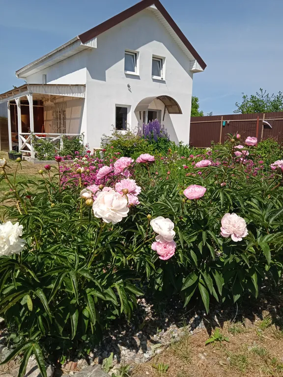 Уютный дом у озера