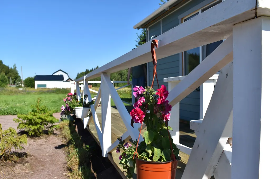 Домик на двоих Карелия