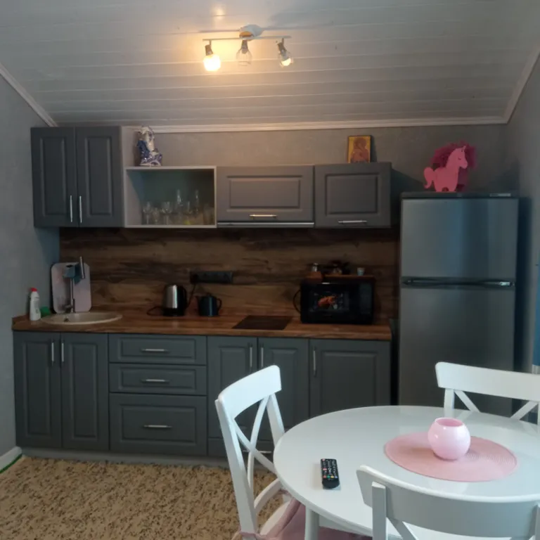 Студия Пентхаус.