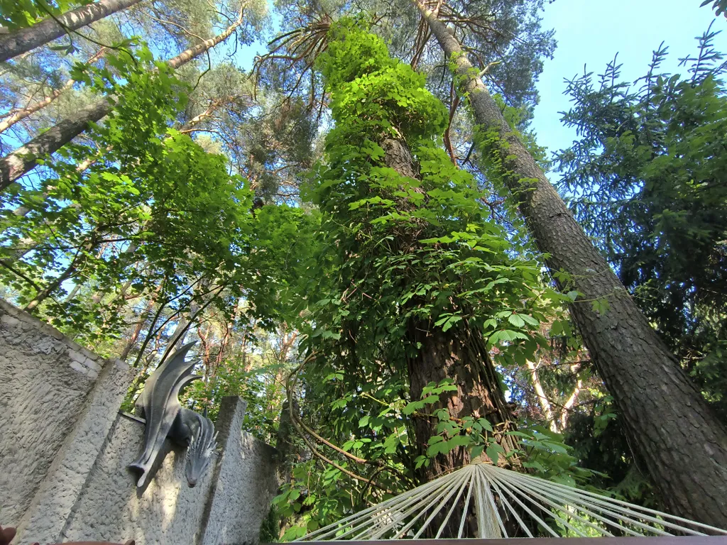 Квартира Квартира Двухкомнатный номер с 2 отдельными кроватями — Светлогорск