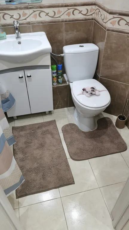 Рыбная деревня