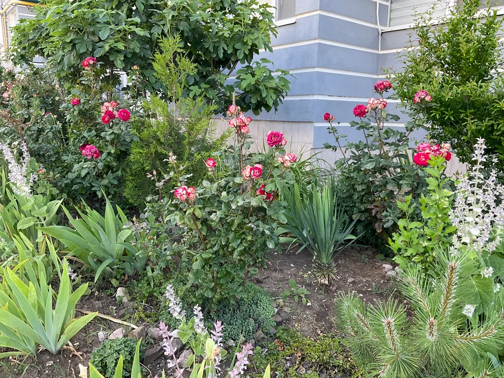 Удобная квартира с видом на море и горы