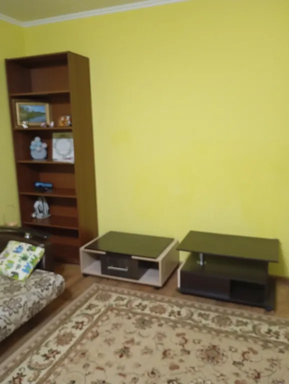 Просторная однокомнатная квартира